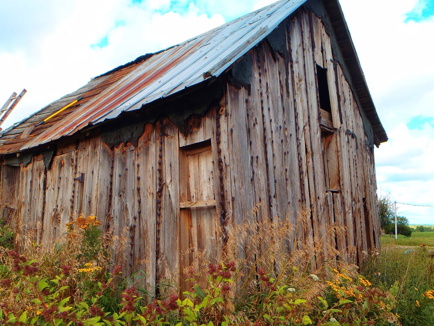 Shot gun shed in Evart, MI that we salvaged