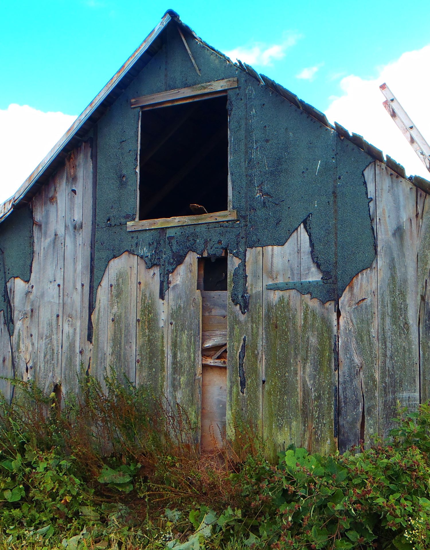 Picture of a shotgun shed before we deconstructed it to repurpose the wood