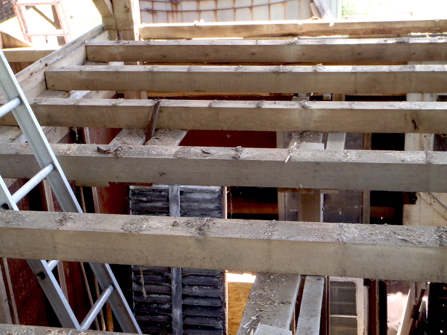 Rough sawn beams in a Michigan barn