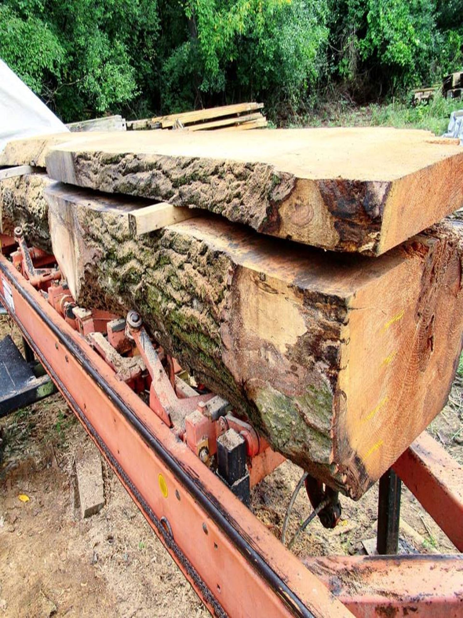 Oak on our band sawmill