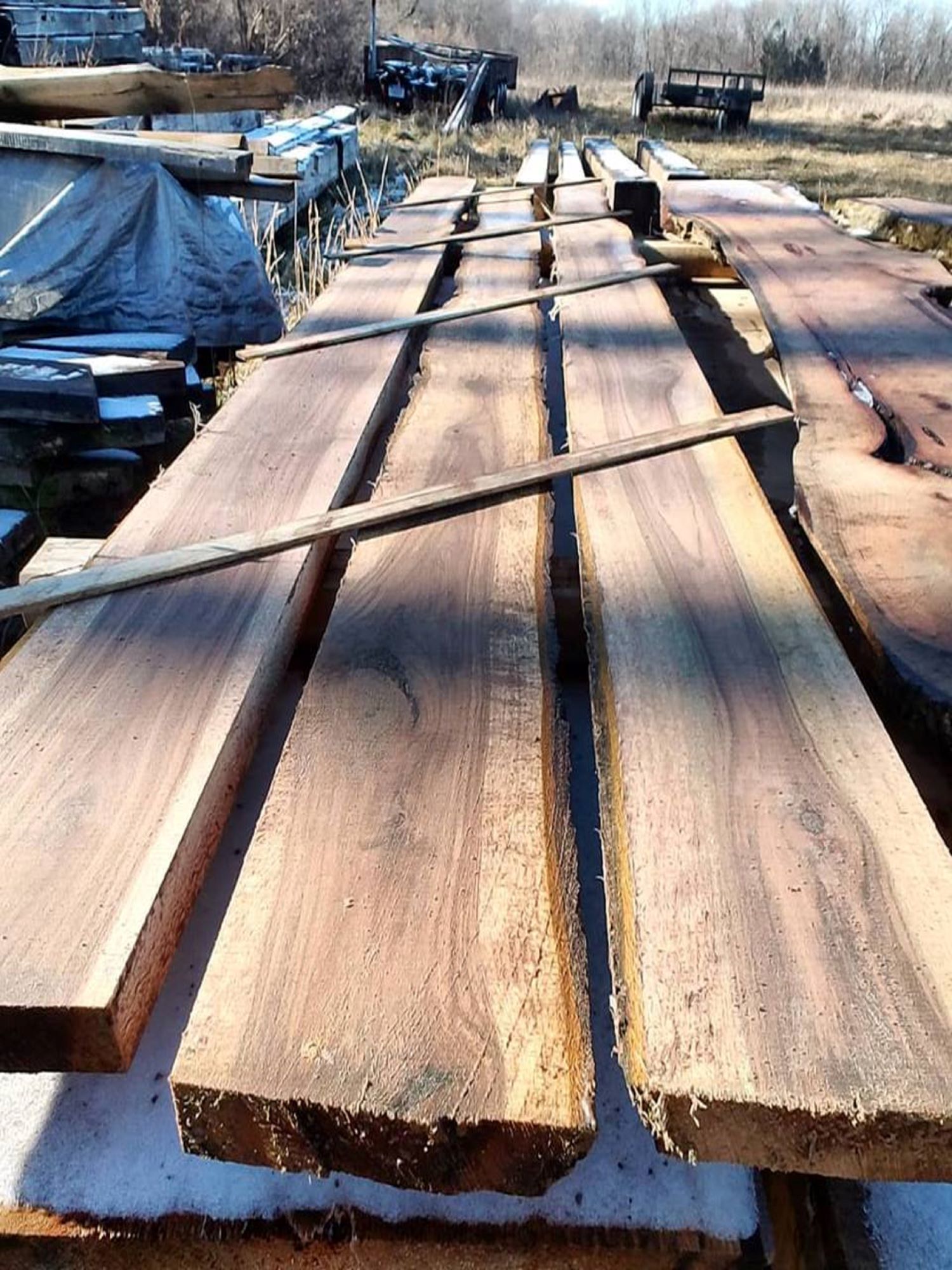 Black walnut live edge slabs