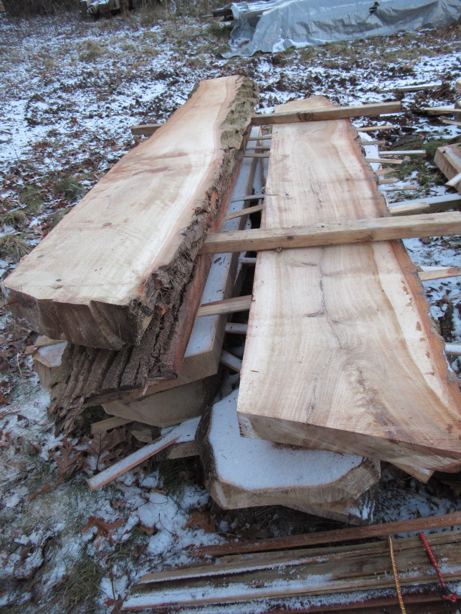 Some live edge slabs stacked in our lumber yard