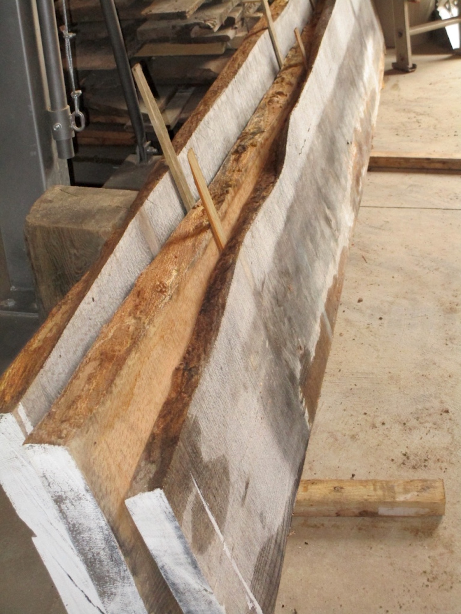 Live edge slabs sitting in the workshop