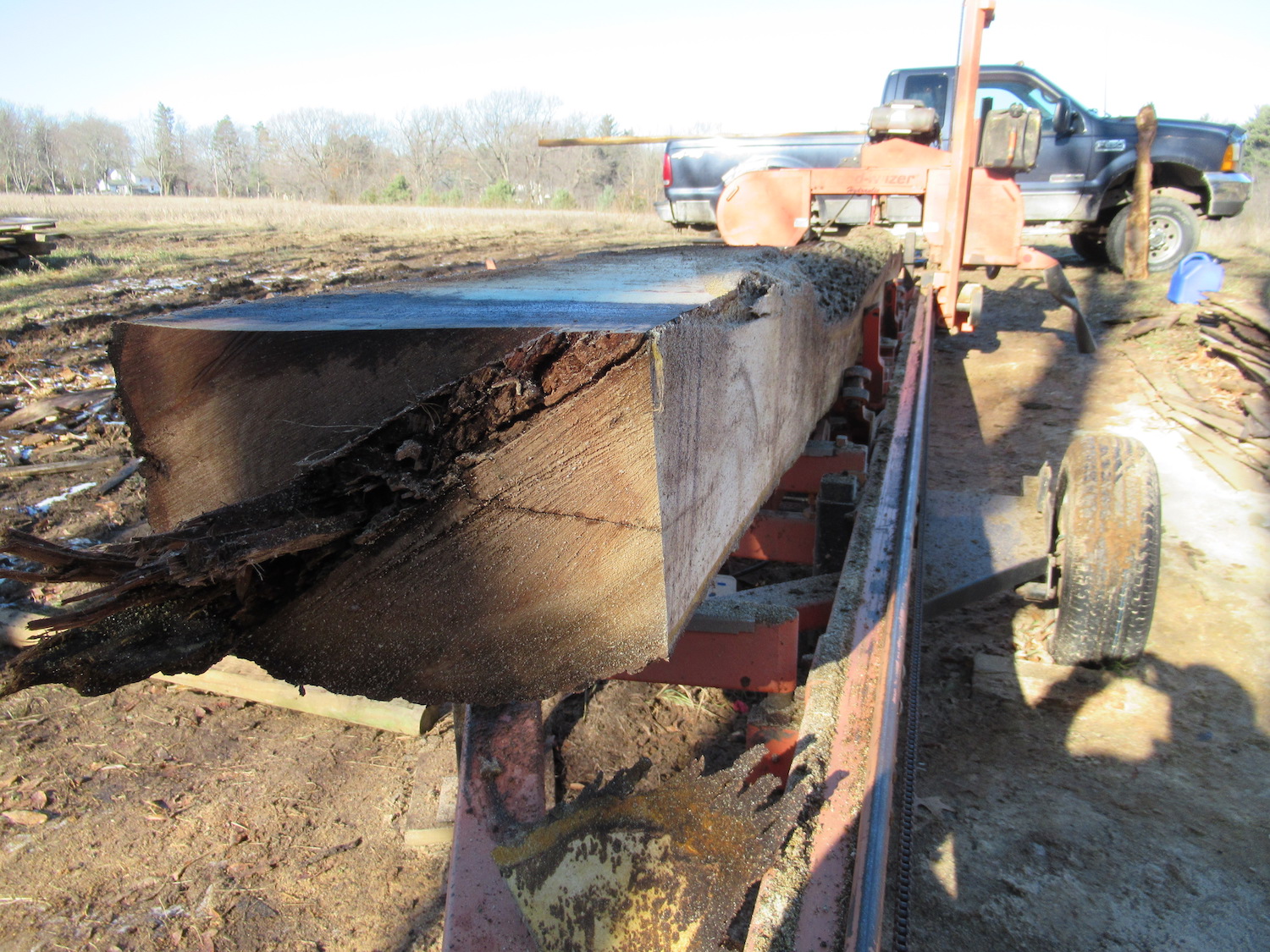 Black walnut on our band sawmill